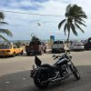[PD] Harley Davidson - 0010